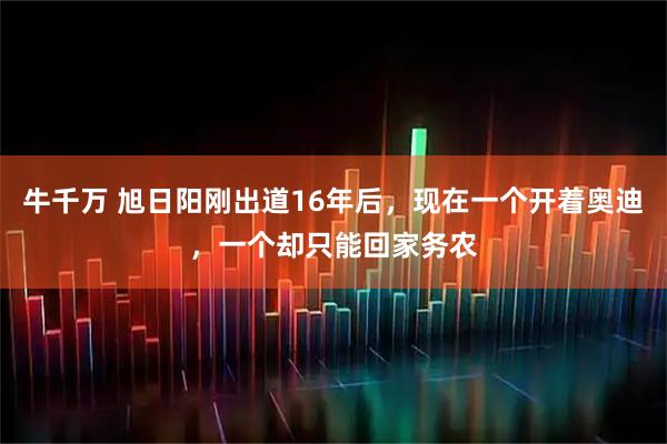 牛千万 旭日阳刚出道16年后,现在一个开着奥迪,一个却只能回家务农