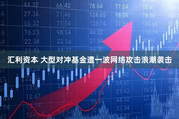 汇利资本 大型对冲基金遭一波网络攻击浪潮袭击